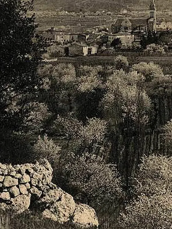 Carte postale ancienne : Cornas et ses murets de pierre sèche