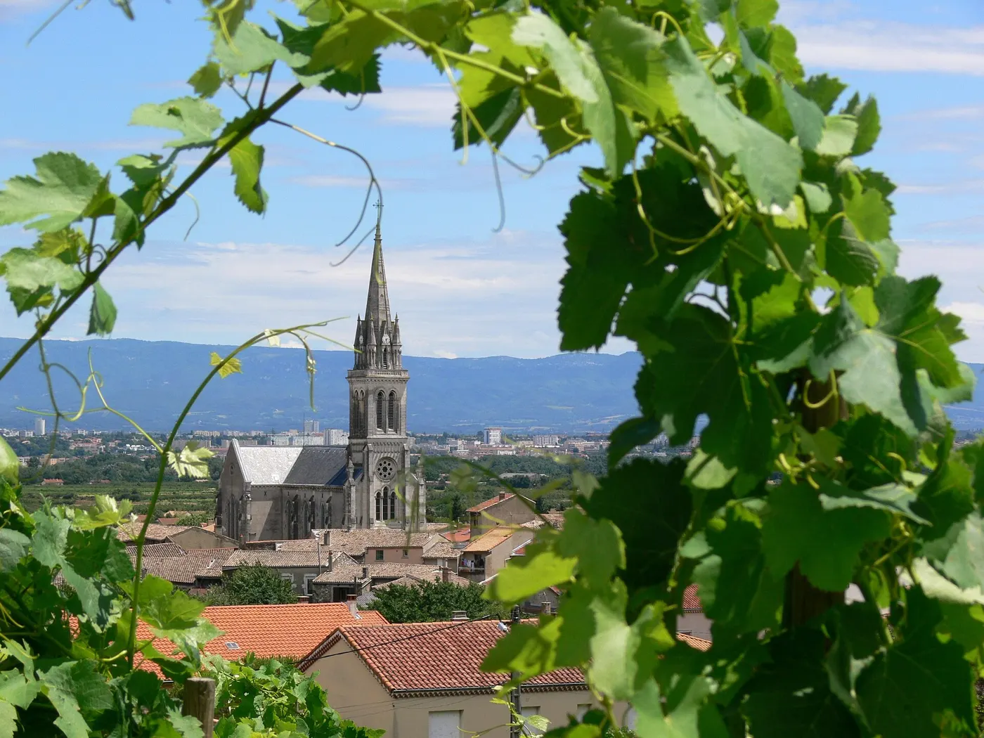 Cornas depuis les vignes